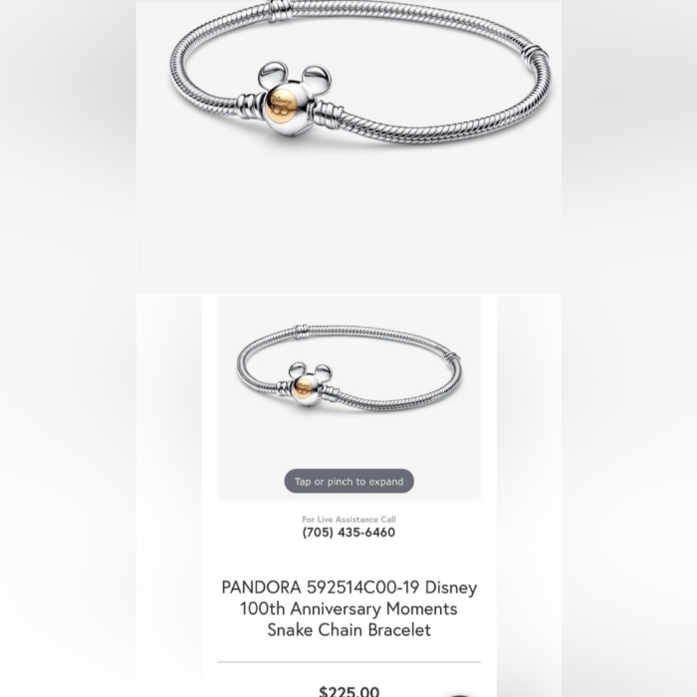 Authentic PANDORA Disney 100th Anniversary Moments Bracelet New